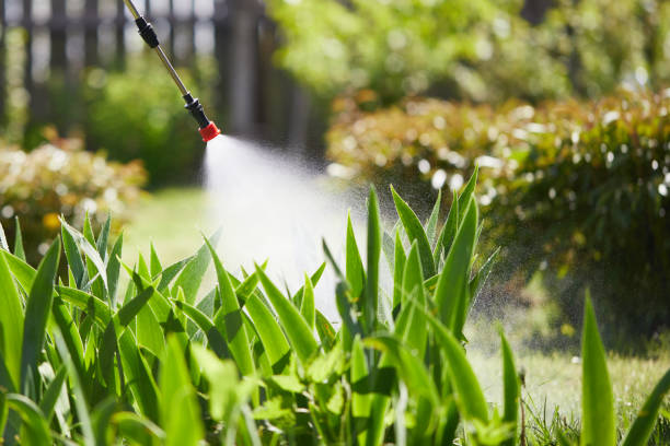 24/7 Emergency Fumigation Services experts in Pond Creek, OK